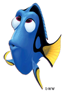 Dory Dory