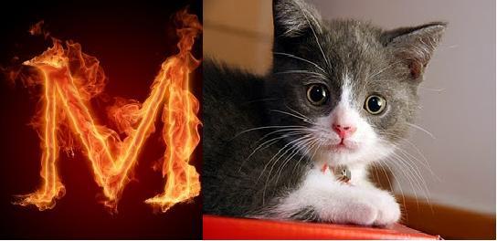 The heat input or output can result in a change in temperature... mc(delta T) 