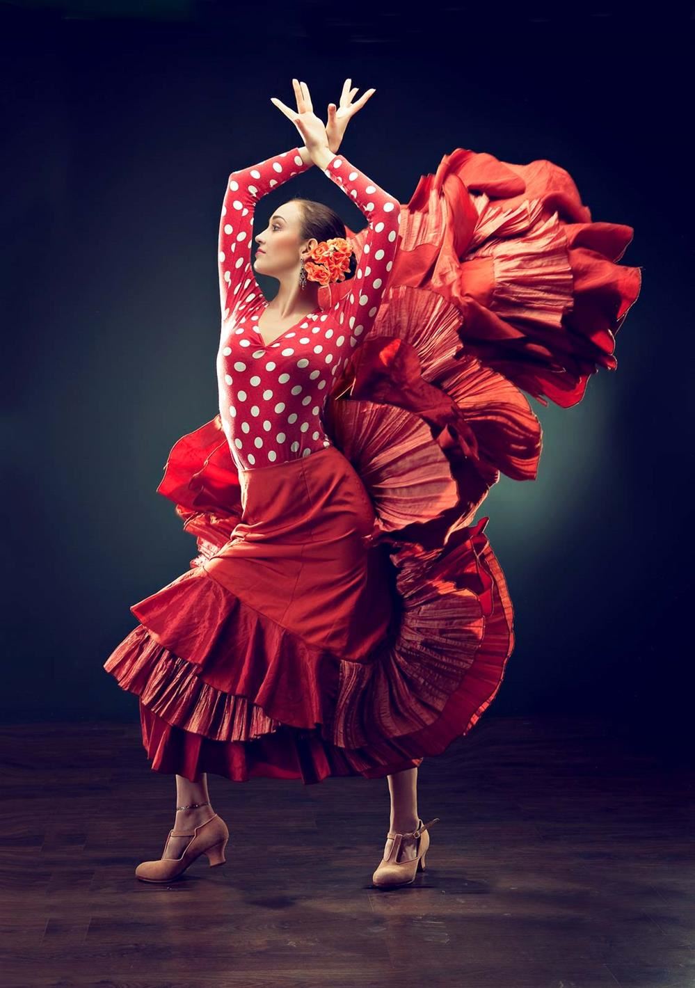 Flamenco Dancer Flamenco Dancer