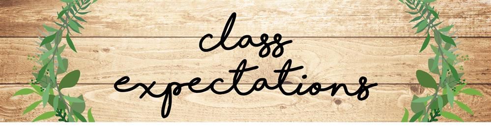 Class Expectations Syllabus