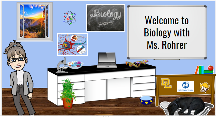Ms. Rohrer's Room