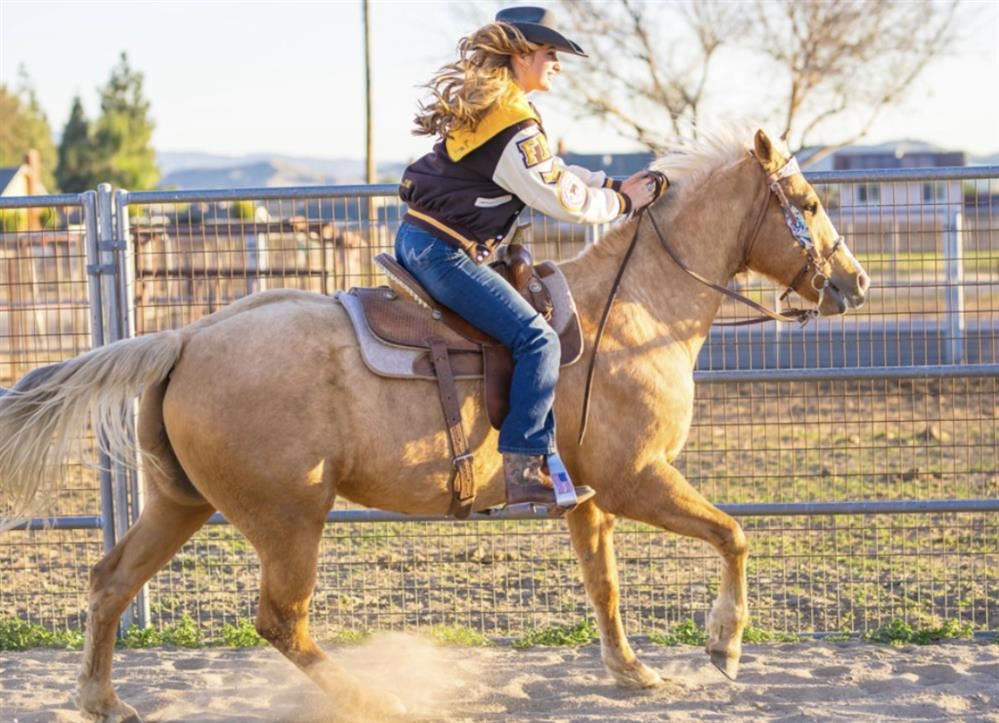 Horsemanship
